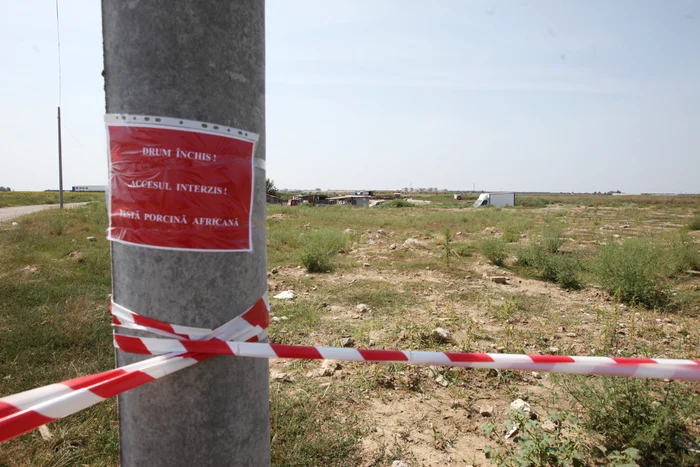 Autoritățile au instituit carantină la stâna de la 14 km de București