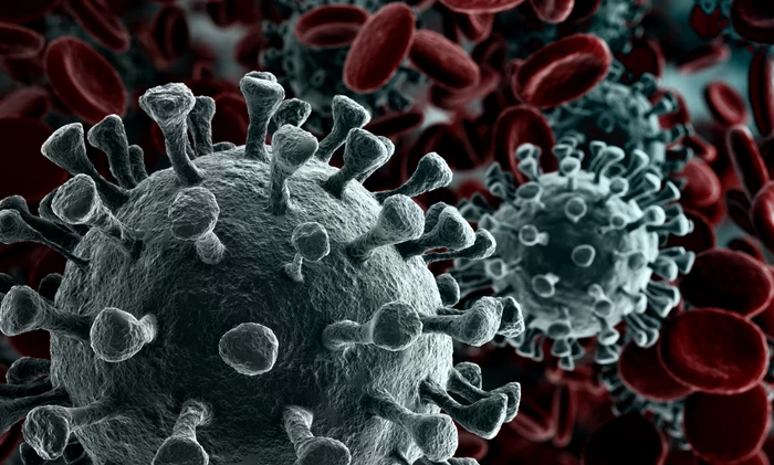 
    Cercetătorii au vești bune legate de imunitatea obținută în urma infectării cu noul coronavirusfoto: Shutterstock  