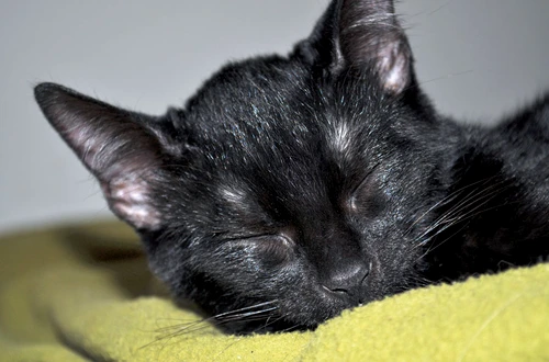 2b7cf9de305a4ed85fd102bd8c0b179b jpg jpeg