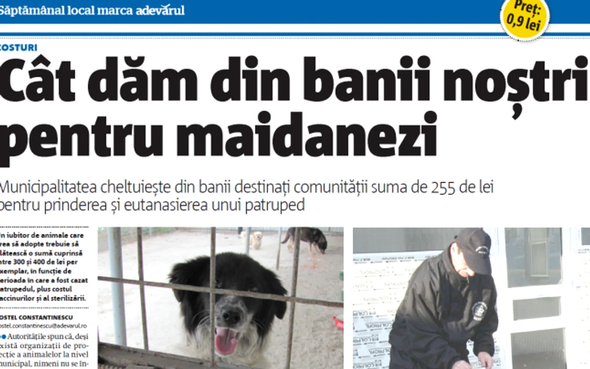 ADS Tulcea