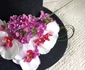 Laura Drăghici din Ploieşti - atelier de flori design Foto Dana Mihai