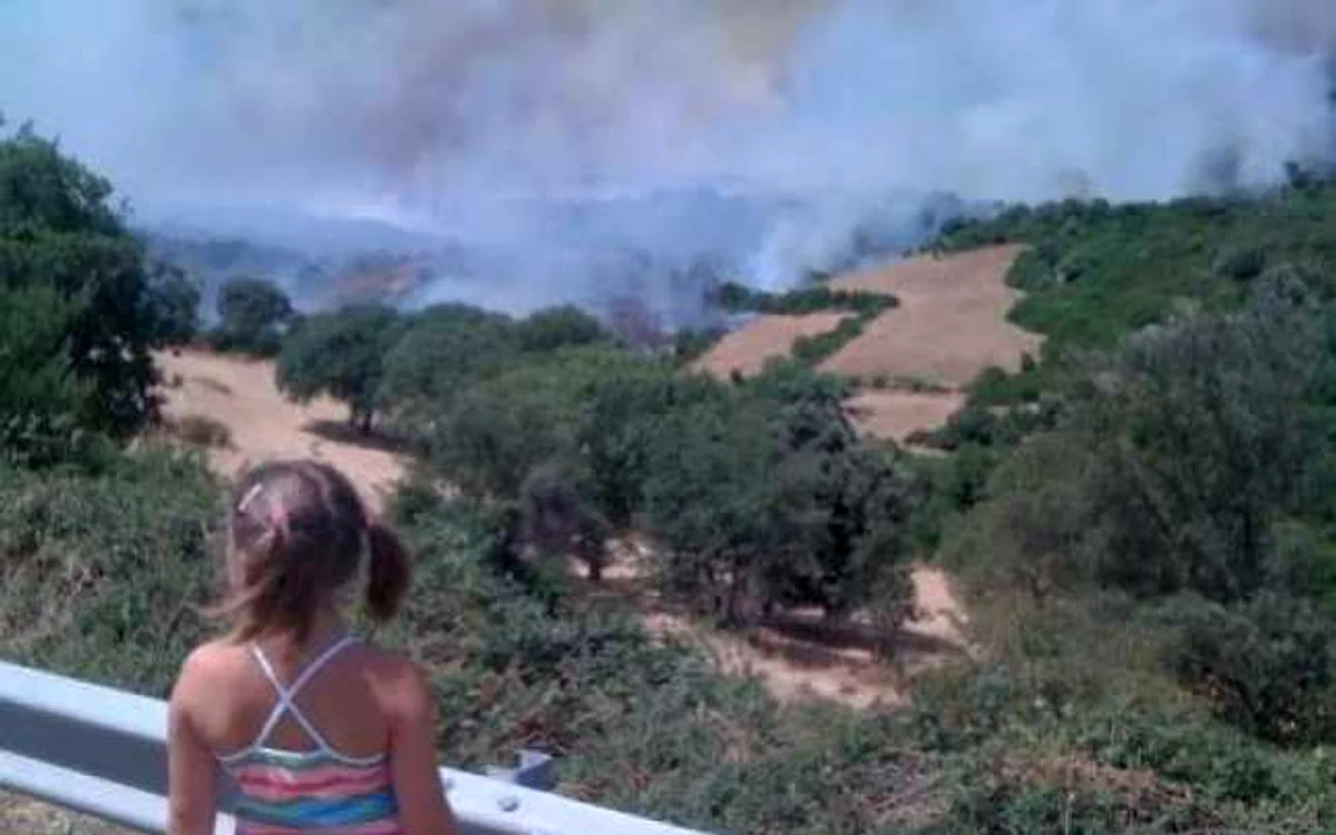 Din nou incendii în Italia, situaţie critică în Liguria