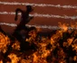 jocurile paralimpice reuters