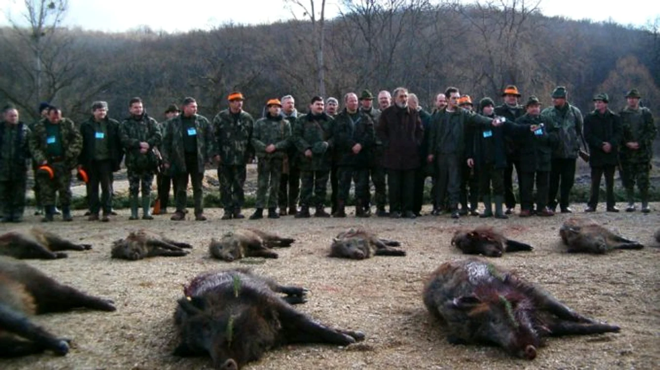 Anul trecut, Ion Țiriac și invitații lui au vânat la Balc peste 150 de mistreți