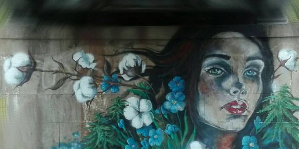 Street art Pucioasa
