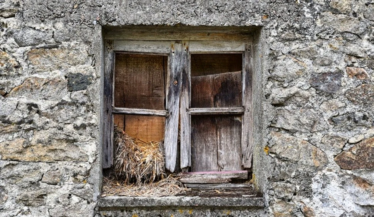 Nouă milioane de case abandonate există în Japonia / foto: Pixabay