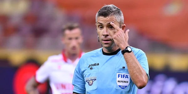 Radu Petrescu jpg