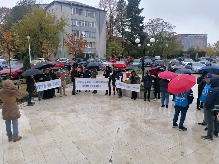 Medicii veterinari au protestat timp de două ore FOTO: Alina Mitran