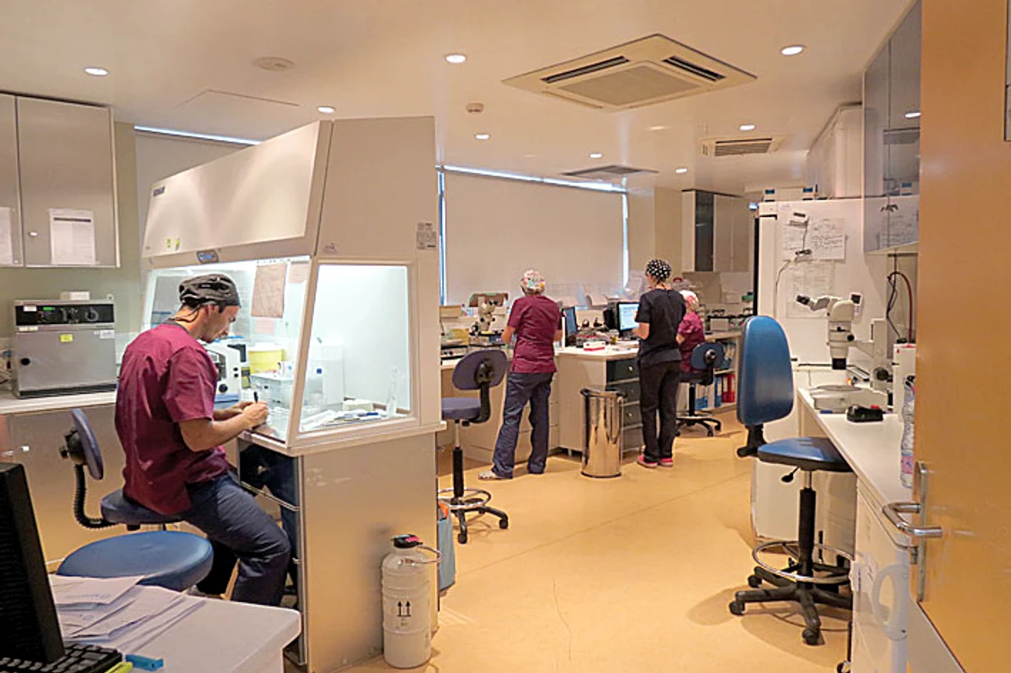 Acesta e laboratorul  unde au loc  inseminările artificiale