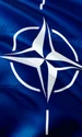 drapel steag nato sua america foto shutterstock