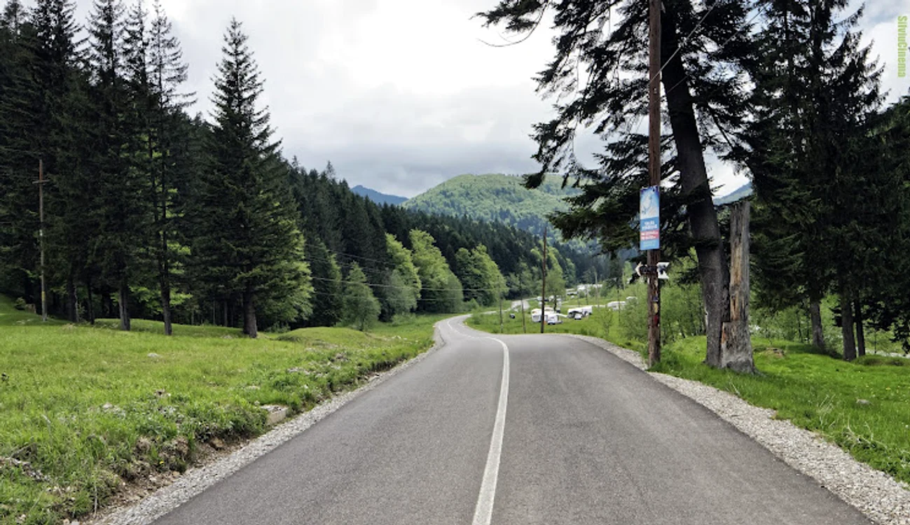 Valea Cerbului.