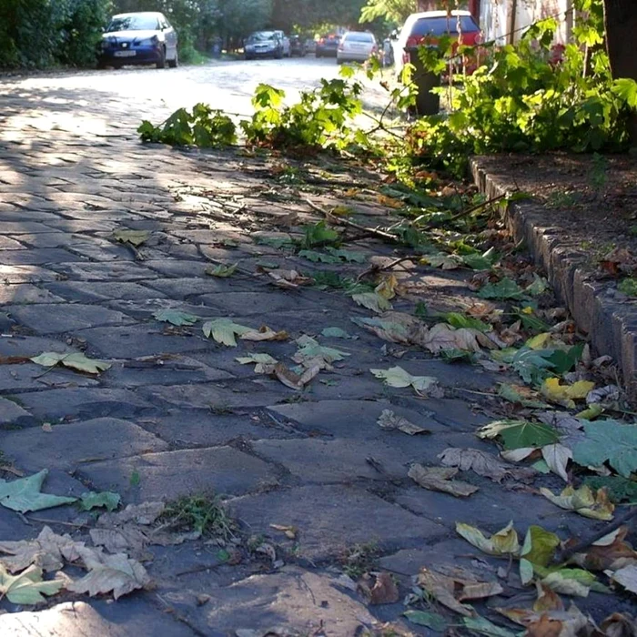 Pietre cubice în Timişoara FOTO Salvaţi străzile pietruite