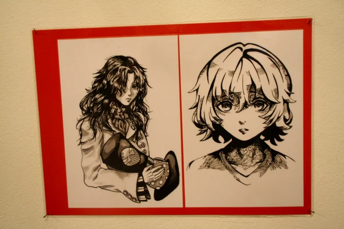 adolescenta acceptata la 5 facultati de game art Bistrita 3