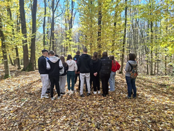 Copiii învață în mijlocul naturii FOTO Cosmin Zamfirache