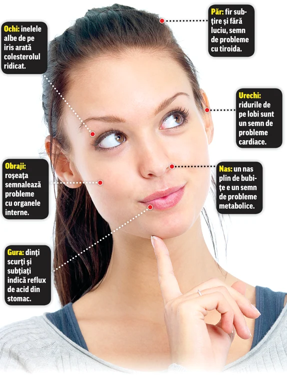 
    Foto: Shutterstock  