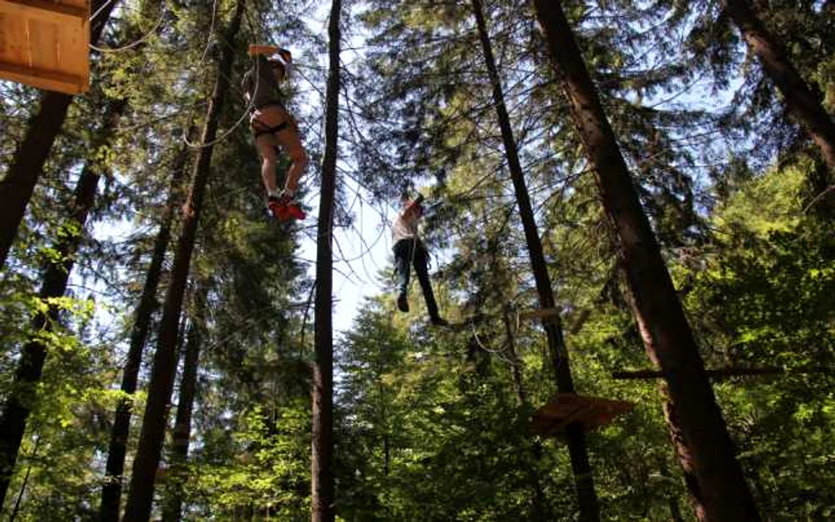 Parcurile de aventură sunt pregătite să vă testeze limitele. FOTOWolf Parc Zărneşti.