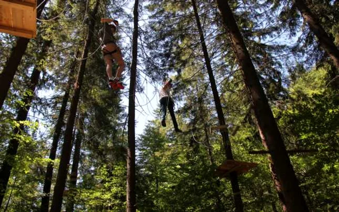 Parcurile de aventură sunt pregătite să vă testeze limitele. FOTOWolf Parc Zărneşti.