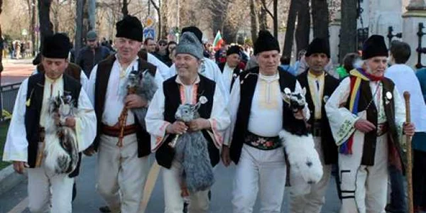 cimpoieri vrancea