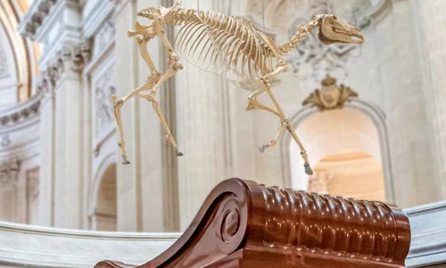 «Grotesc şi şocant», scrie «Le Figaro»  O reproducere a scheletului calului preferat de Napoleon, montată deasupra mormântului lui, naște polemici în Franța jpeg