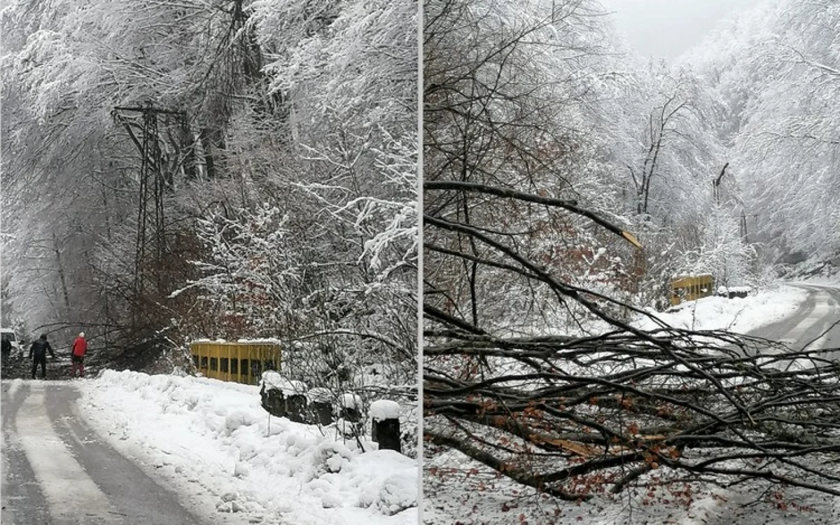 Foto: Salvamont Hunedoara