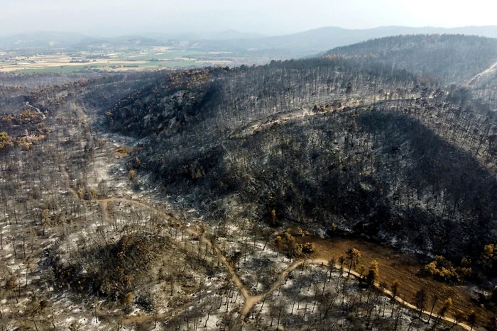 grecia incendia