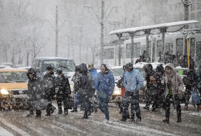 Viscol ger zapada ninsoare FOTO Inquam Photos Octav Ganea jpg