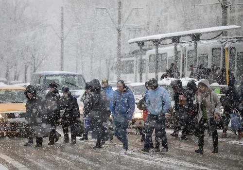 Viscol ger zapada ninsoare FOTO Inquam Photos Octav Ganea jpg