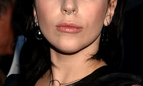 Lady Gaga (Foto: WENN) jpeg