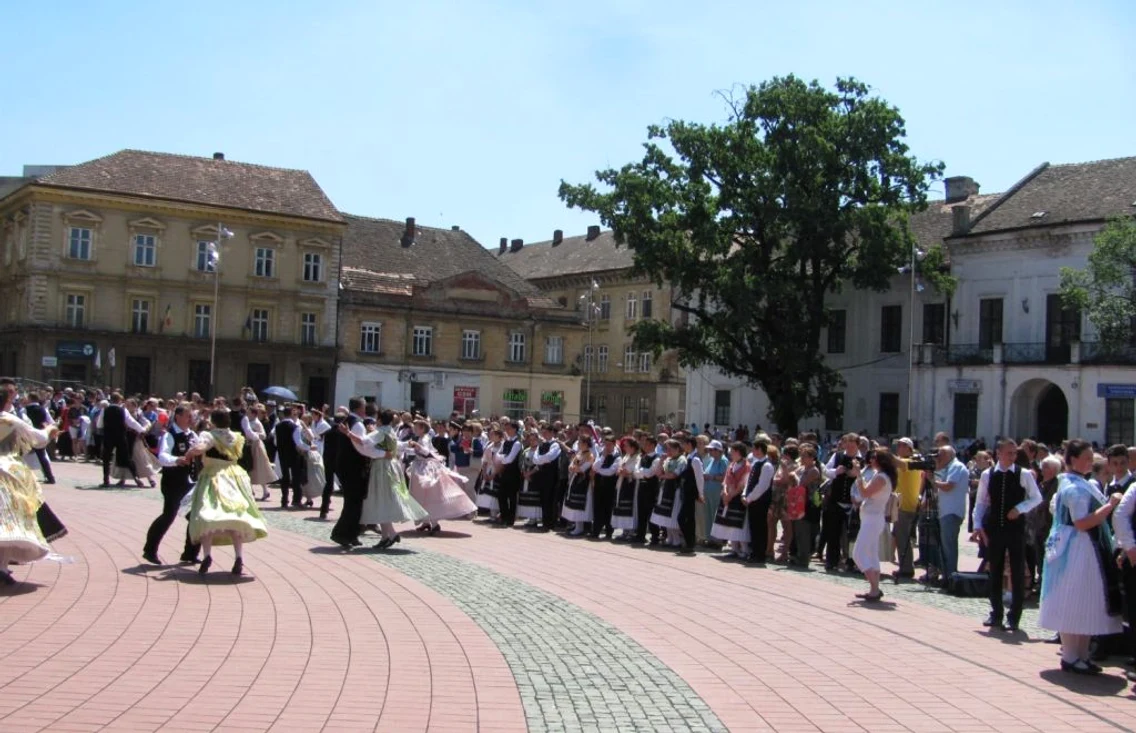 Parada germanilor Timişoara FOTO Ştefan Both