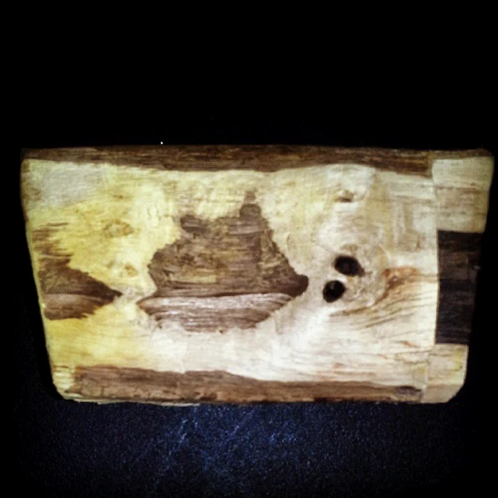 De plictiseală, Pacha Man s-a apucat să sculpteze