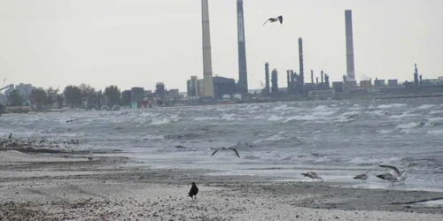 Plajele din nordul staţiunii Mamaiei FOTO Mariana Iancu