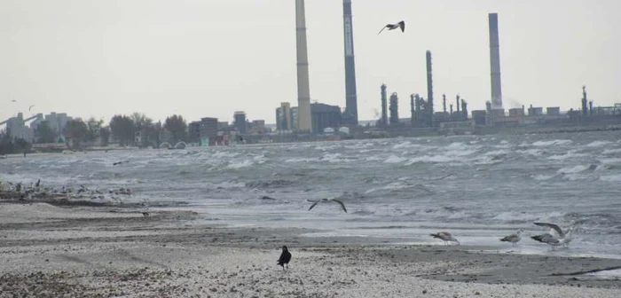 Plaja, în toată splendoarea sa. FOTO Mariana Iancu