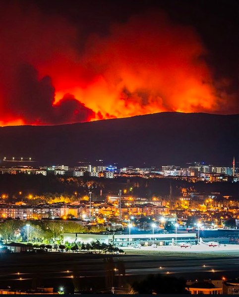 Incendii devastatoare în Turcia. Peste 250 de persoane evacuate dintr-o provincie apreciată de turiști