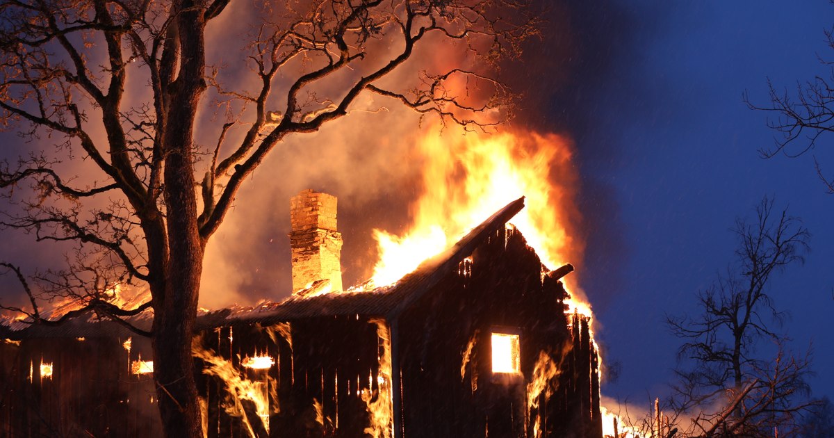 Incendiu devastator în județul Constanța: peste 20 de câini și-au pierdut viața Incendiu devastator în județul Constanța: peste 20 de câini și-au pierdut viața