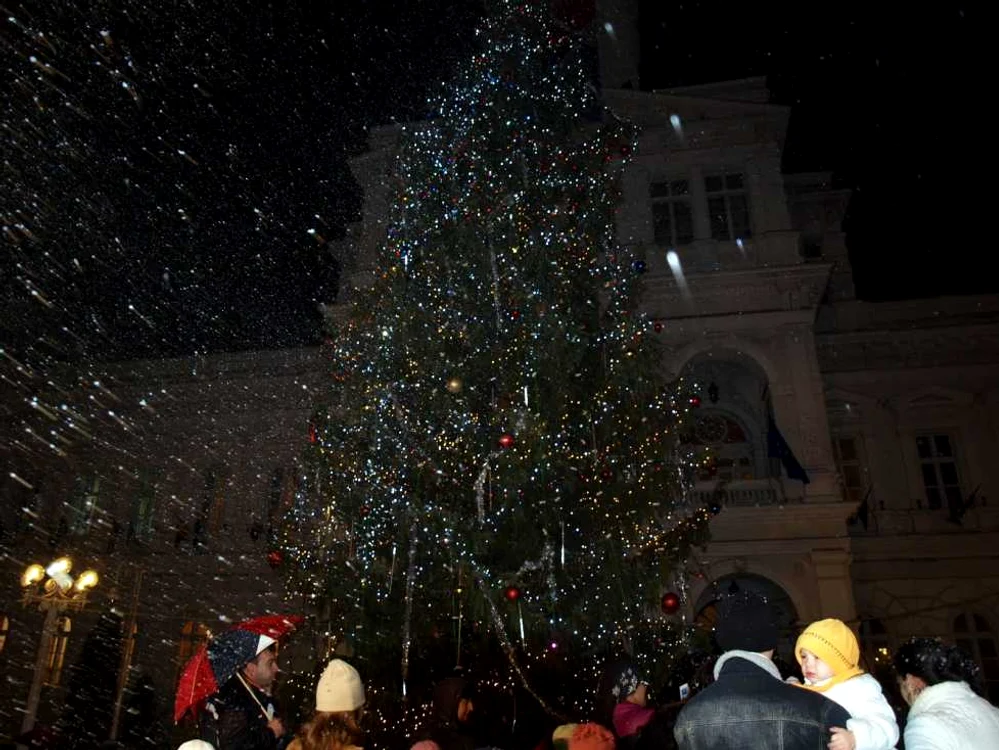 Arădenii au un brad de 20 de metri, adus special din Munţii Apuseni
