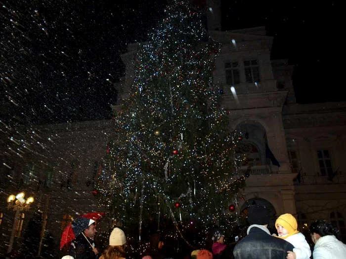 Arădenii au un brad de 20 de metri, adus special din Munţii Apuseni