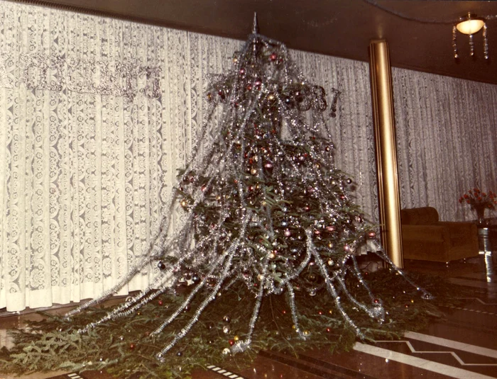 Bradul de sărbători al nomenclaturii era pregătit pentru recepțiile oficiale de iarnă.