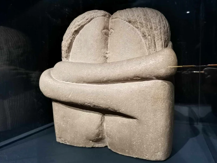 Expoziția Brâncuși de la Timișoara FOTO Ștefan Both
