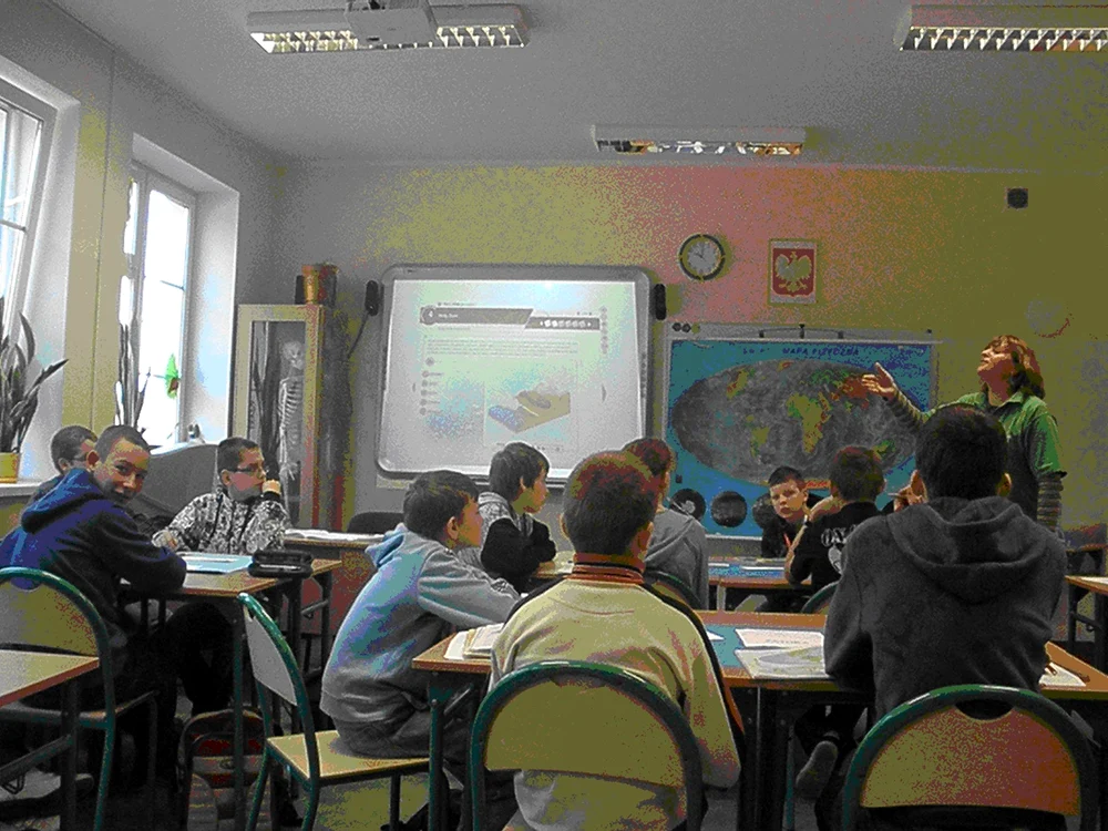 Profesori de geografie 