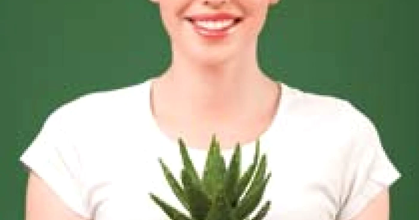 Aloe vera poate fi administrată ca ajutor în tratamentul bolnavilor cronic, doar cu recomandarea medicului
