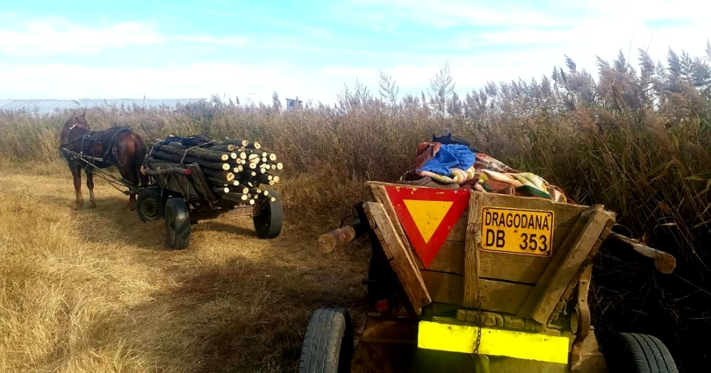 Suspecţii au fost prinşi în flgrant FOTO Adevărul