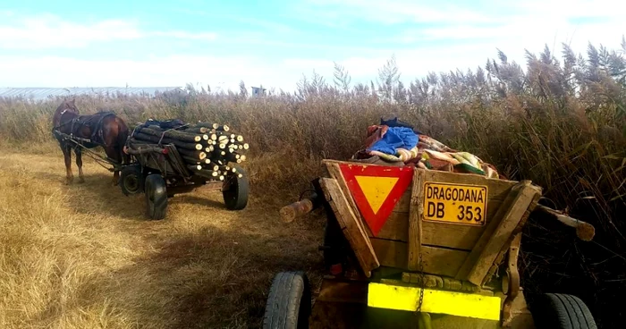 Suspecţii au fost prinşi în flgrant FOTO Adevărul