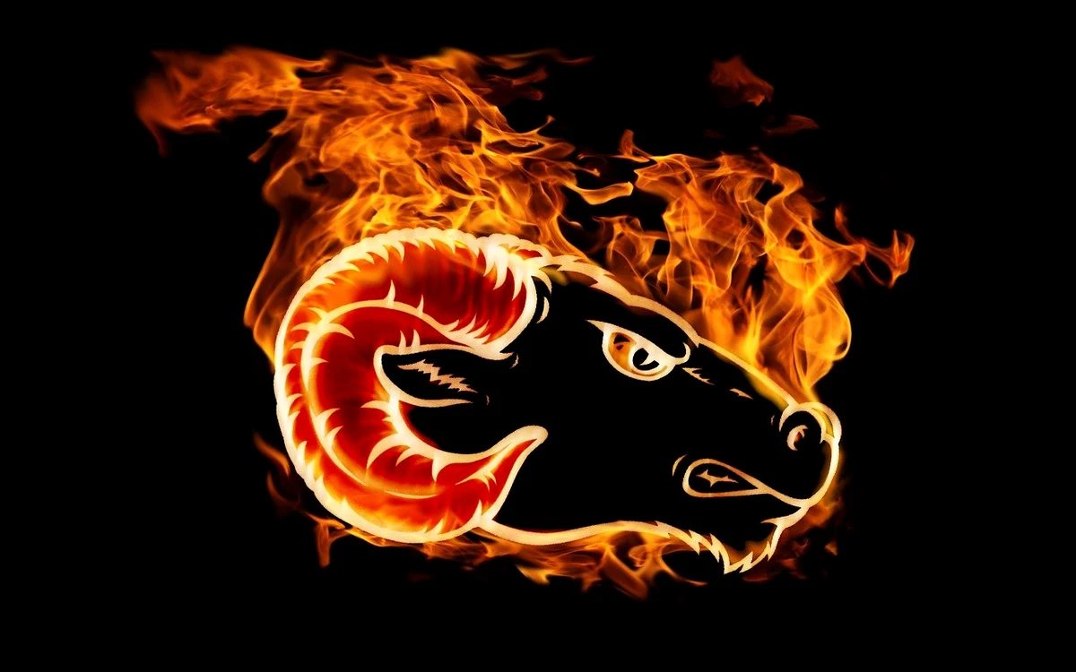 Berbecii nu se înțeleg cu anumite zodii / foto: Pixabay