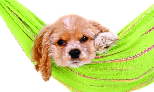 1 47304 original jpg jpeg