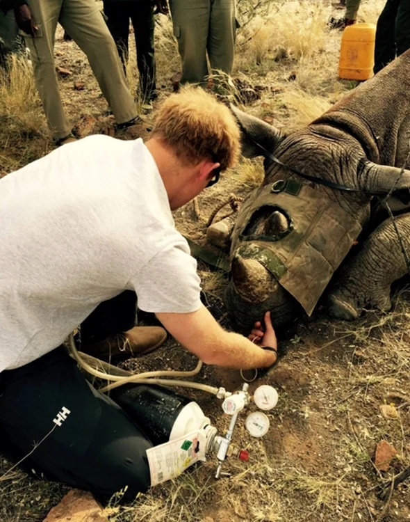 Prințul Harry s-a implicat complet în salvarea animalelor din Africa