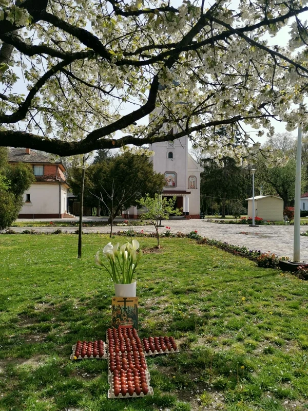 Vopsitul ouălor roşii la mănăstirea Timişeni-Şag FOTO Ş.Both