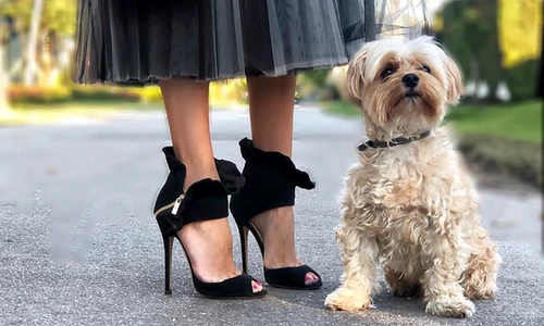 1 81012 original jpg png