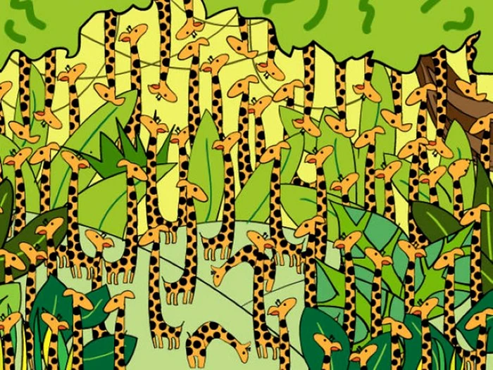 Șarpele trebuie găsit în doar 15 secunde