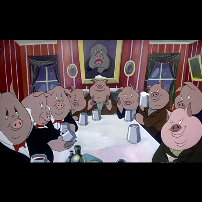 Reabilitarea porcului jpeg