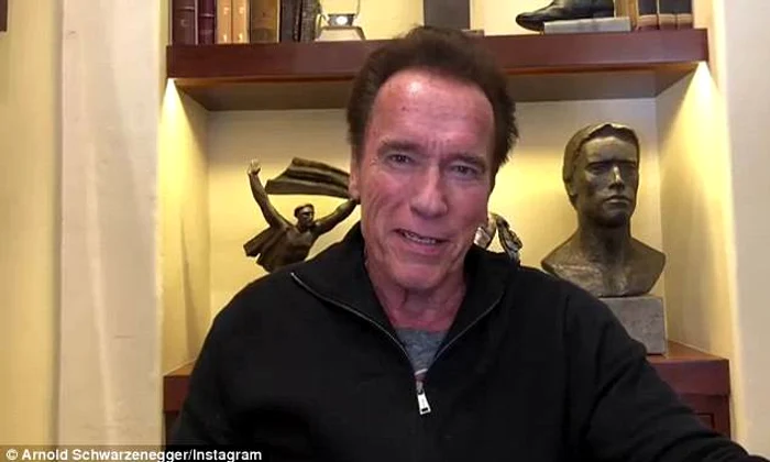 arnold jpeg